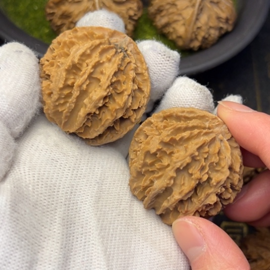 把件文玩核桃秦岭核桃