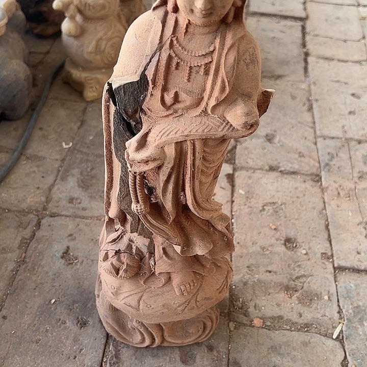 香榧木88855888888