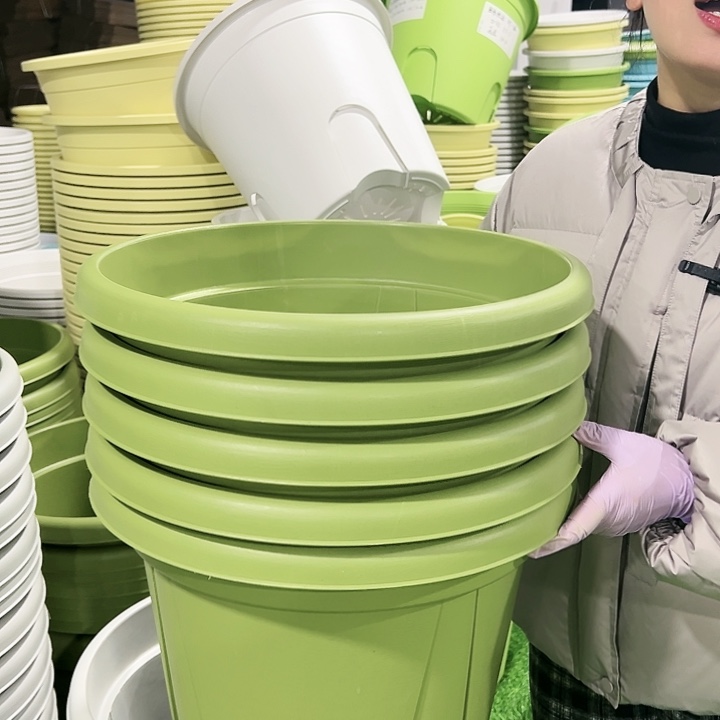 清仓青山口40高34果绿色5只无托