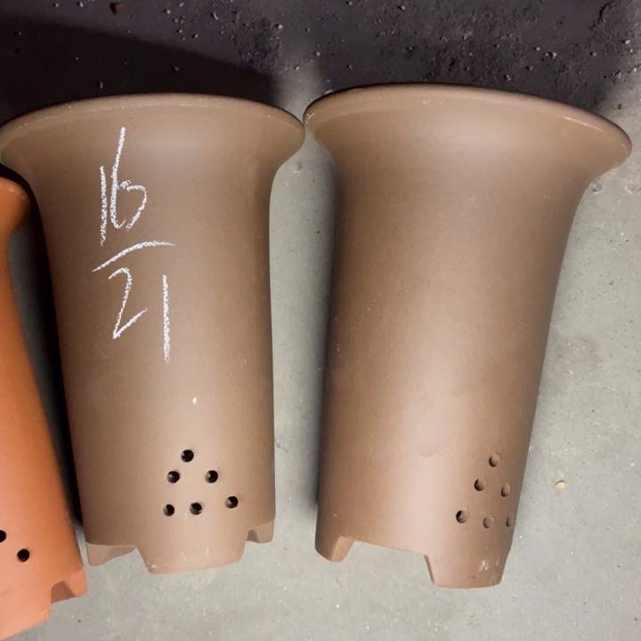 紫砂紫砂紫砂紫砂