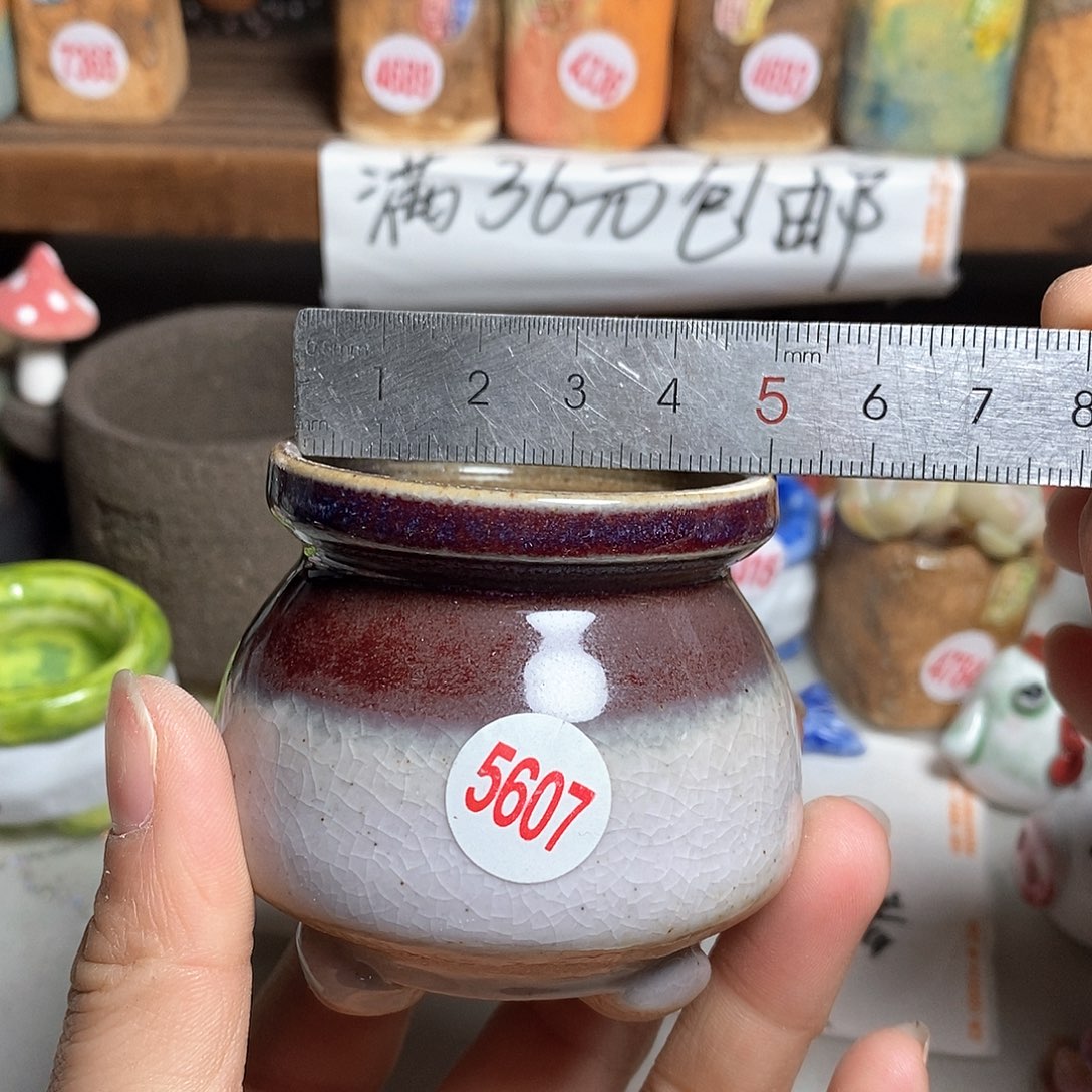 红陶处理，拍5送一个小