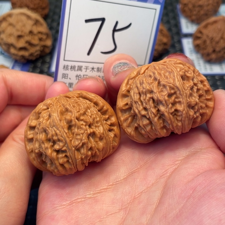 桃核把件42白狮子75。。。