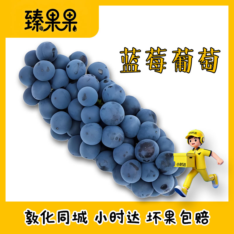 【敦化中心市场】蓝莓葡萄同城小时达新疆维吾尔自治区