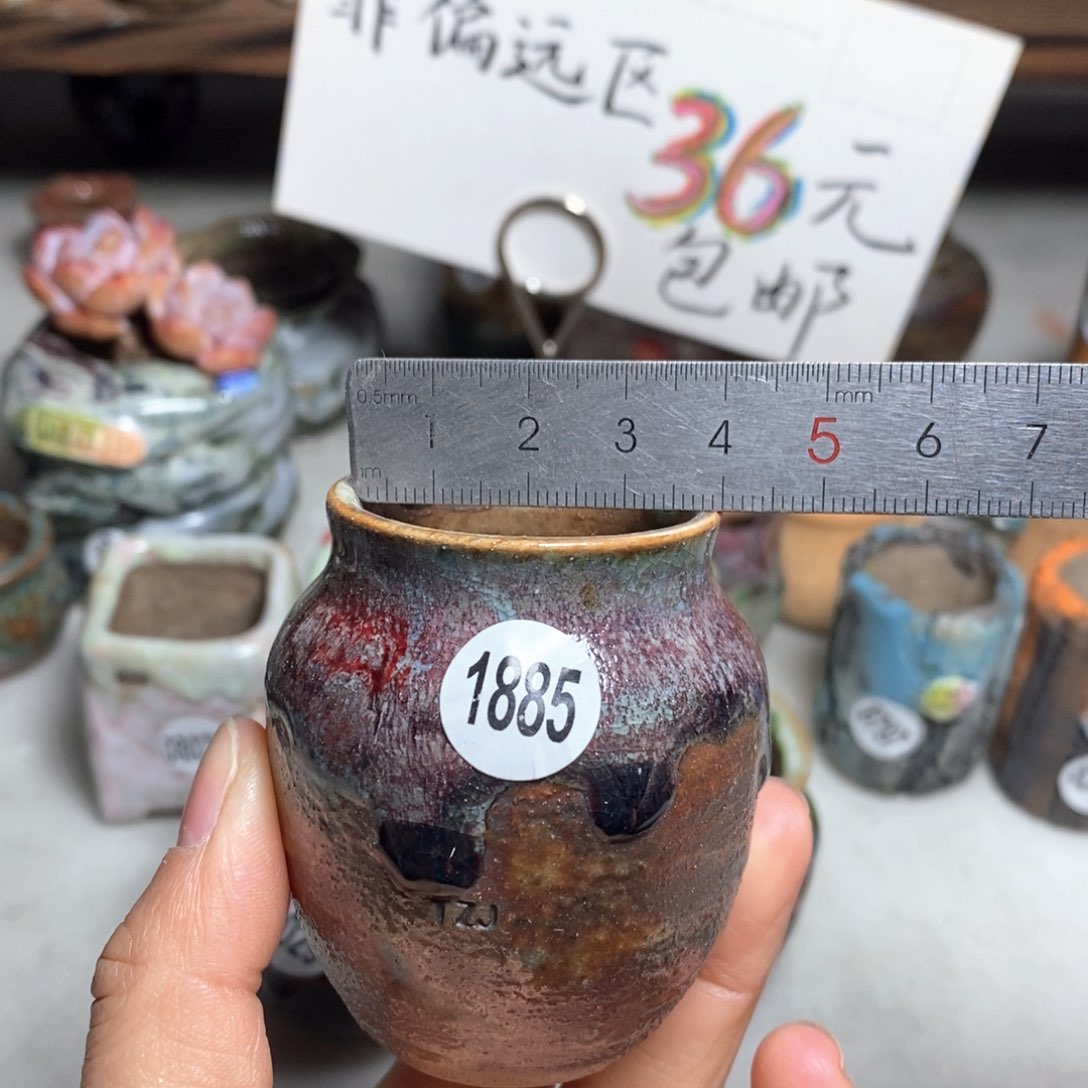 花盆拍5送一个小礼物