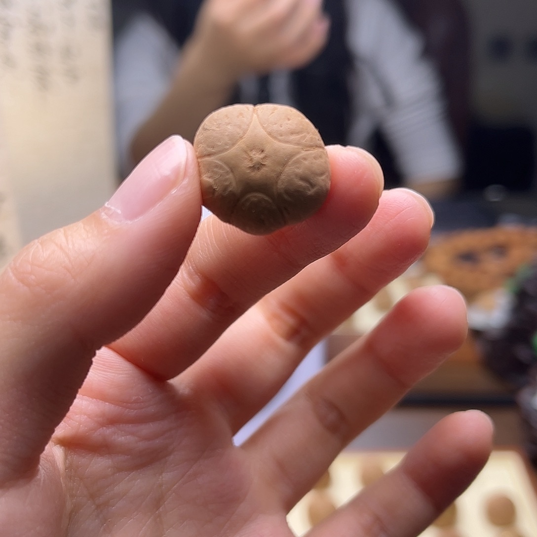 凤眼菩提手串荆**?菩提