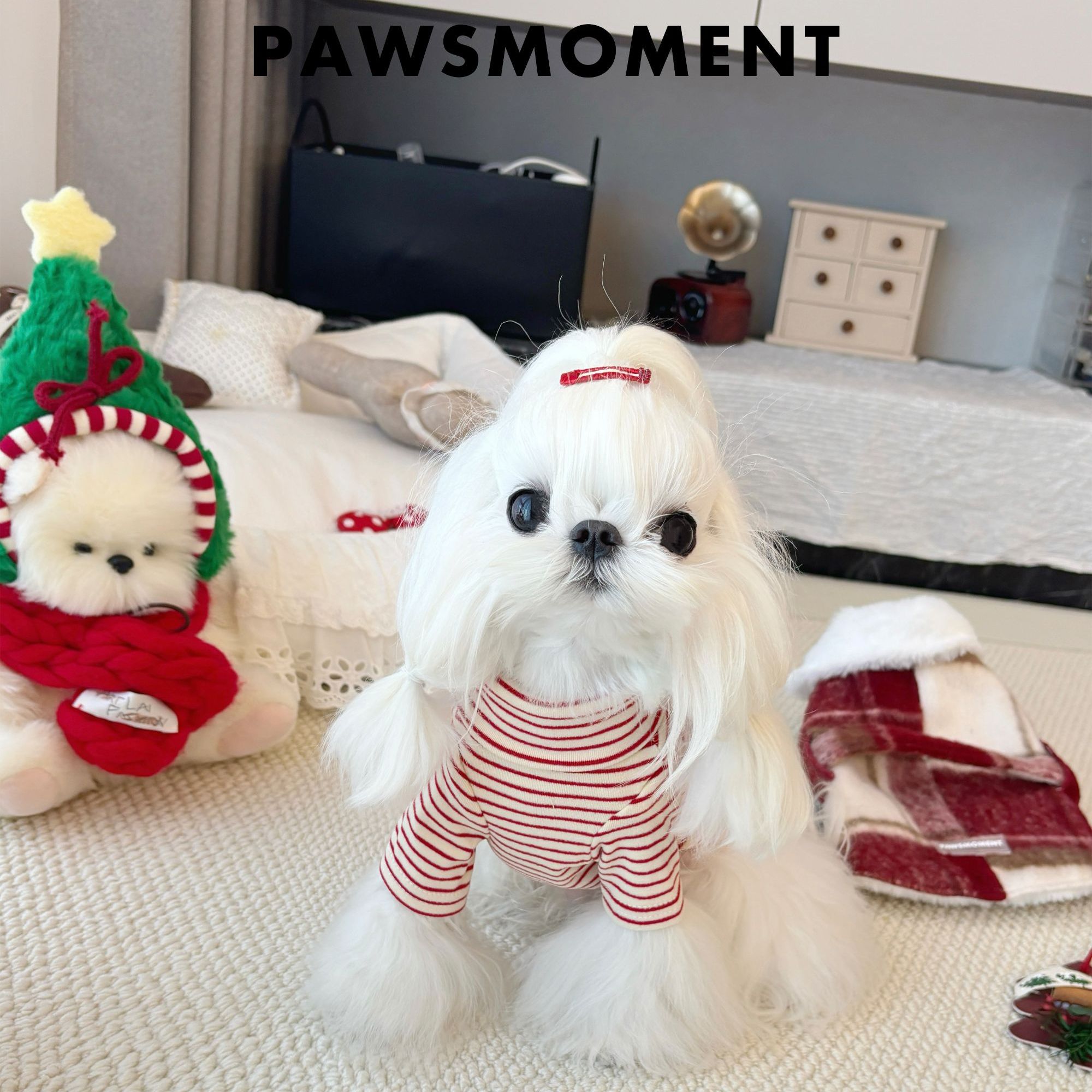 宠物狗狗衣服红色条纹打底衫秋冬季保暖雪纳瑞马尔济斯西施衣服