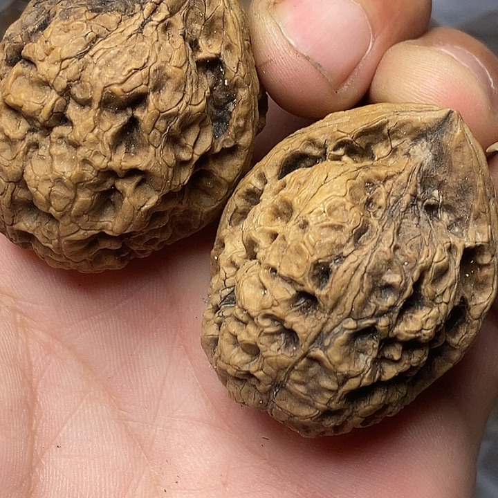 把件文玩核桃志成云铁文玩38