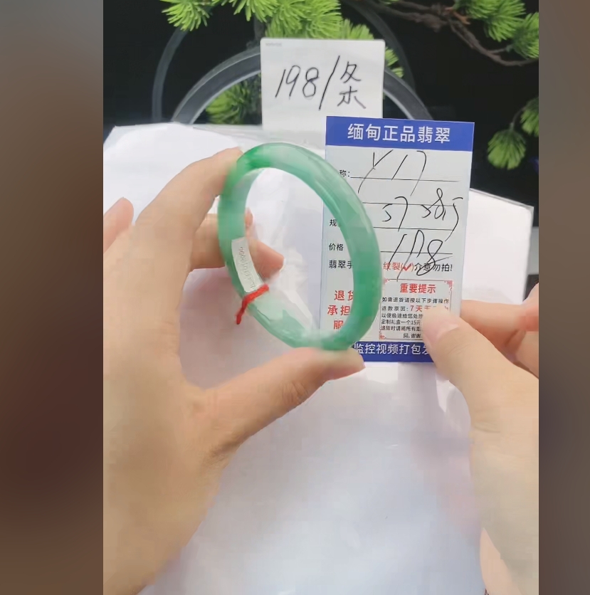 Y17缅甸翡翠手镯处理198/条【一物一证】实物以直播间为准