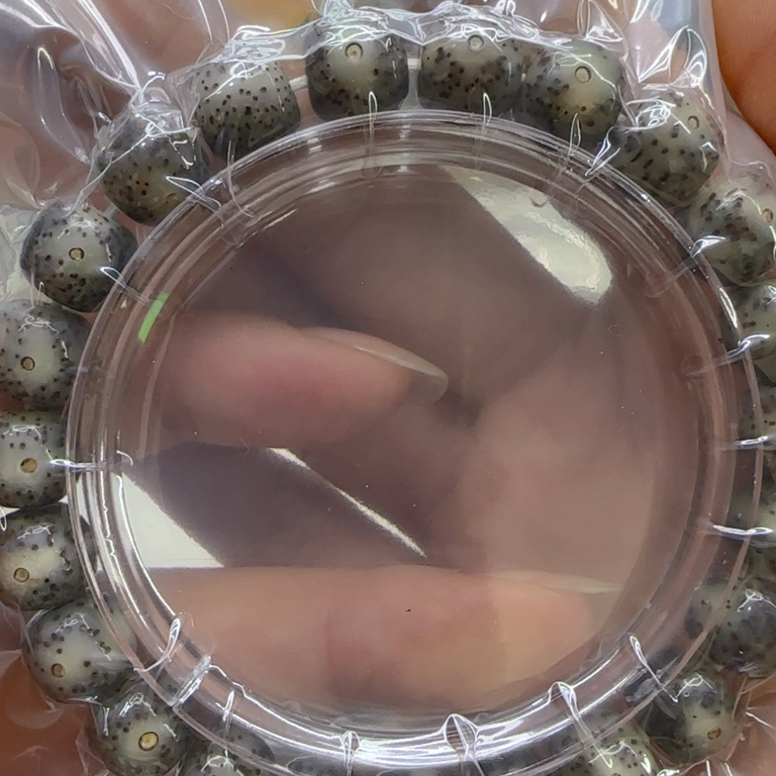 星月菩提手串26殿堂黑冰星月菩提1.0桶单圈