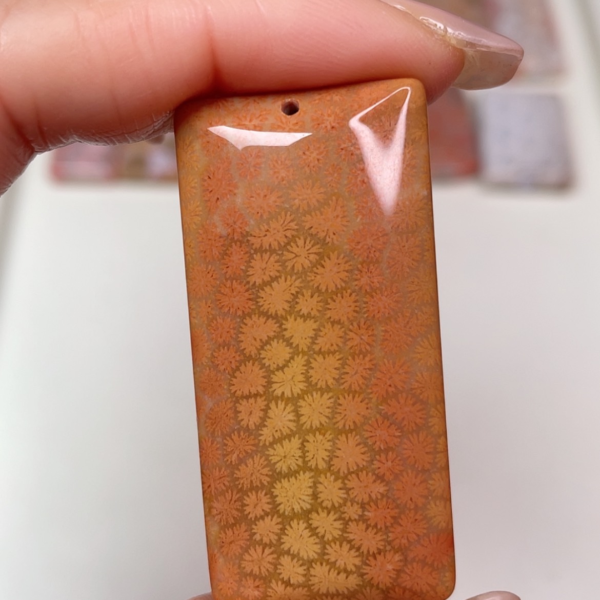 【闪购商品】未镶嵌吊坠(赠链)硅化玉