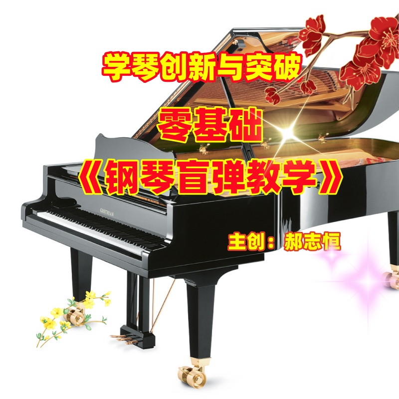 2、零基础《钢琴盲弹教学法》