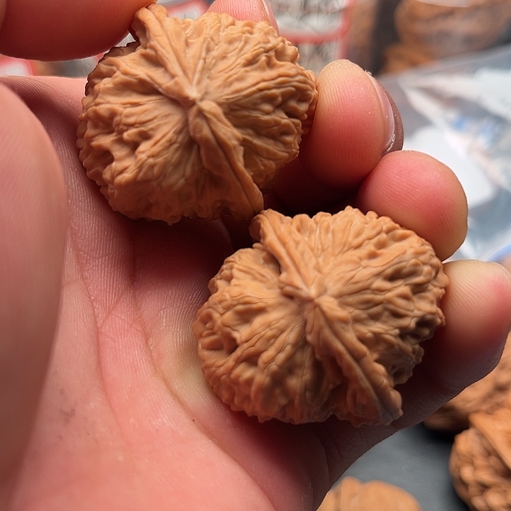 文玩核桃把件白狮子37