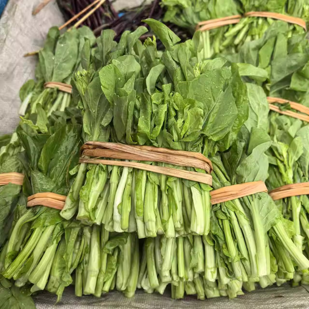 贵州本地露天种植赶集现收白菜苔