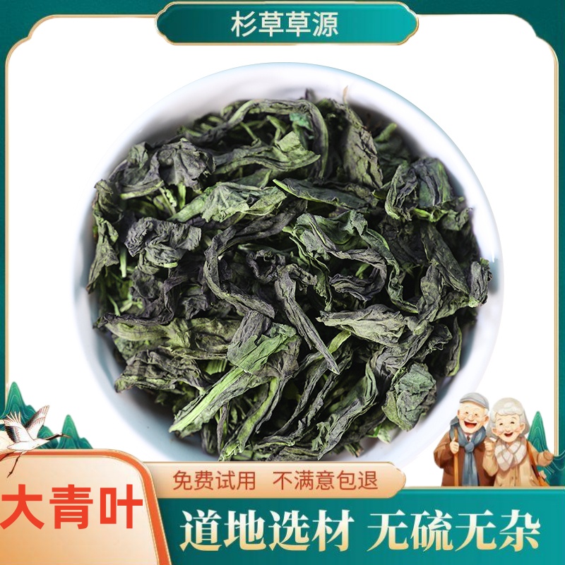 大青叶大青叶茶克打大青叶粉新货蓝菜 板蓝根叶子正品非茯苓