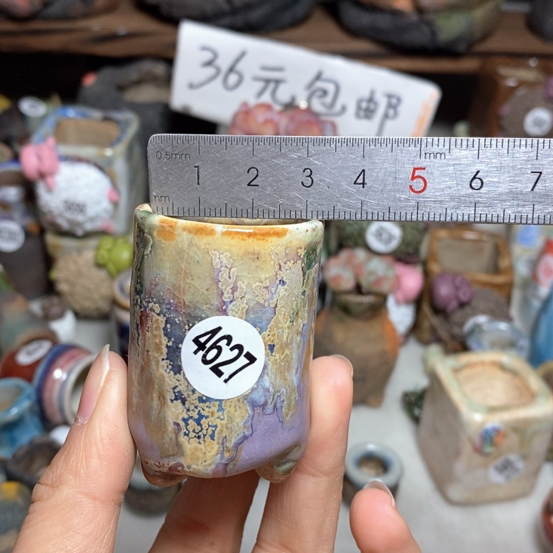 拍5送一个小礼物
