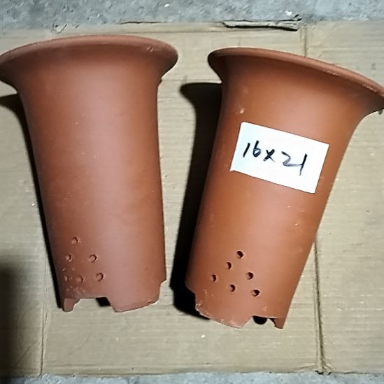 紫砂小红兰花两个微瑕