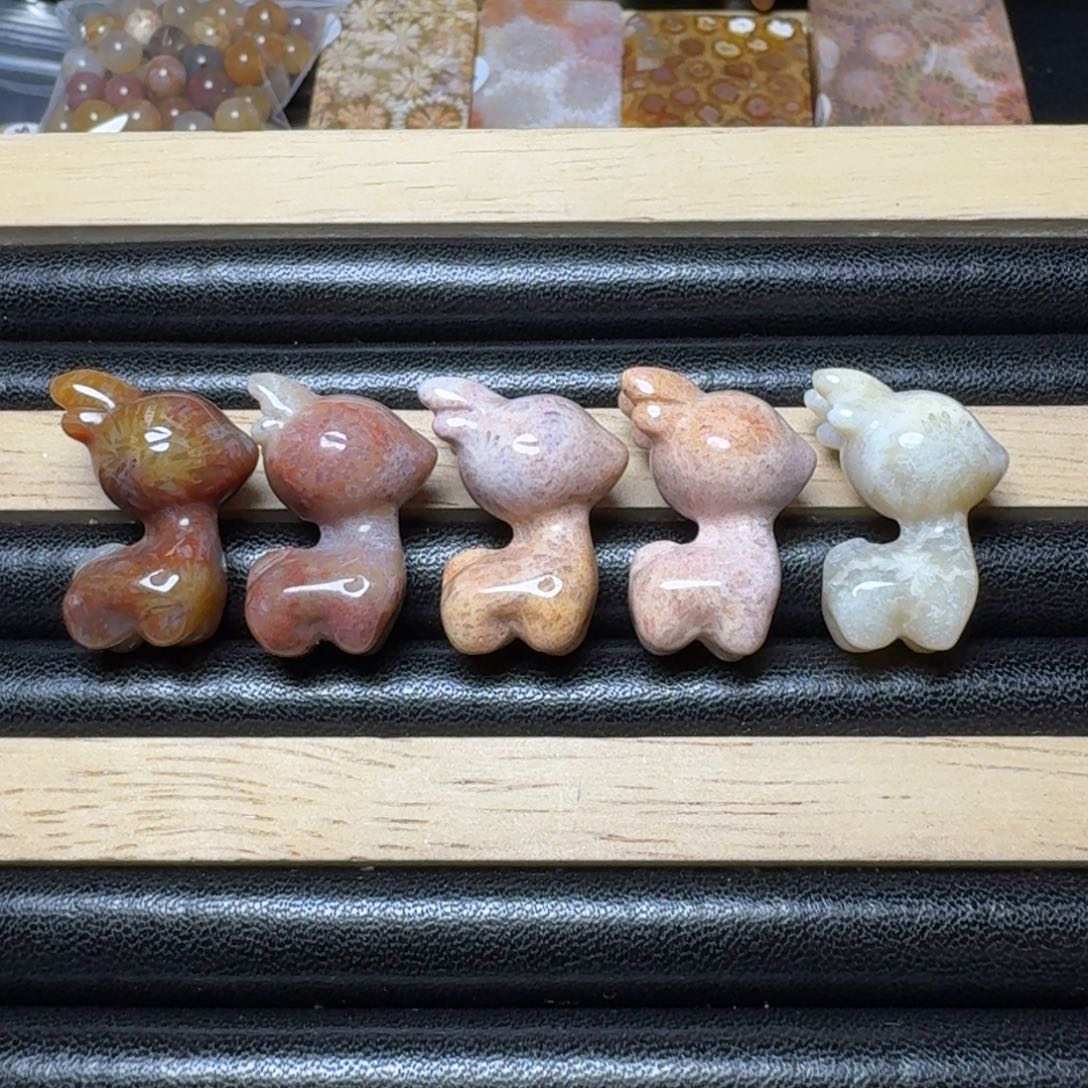 硅化玉挑60一个未镶嵌