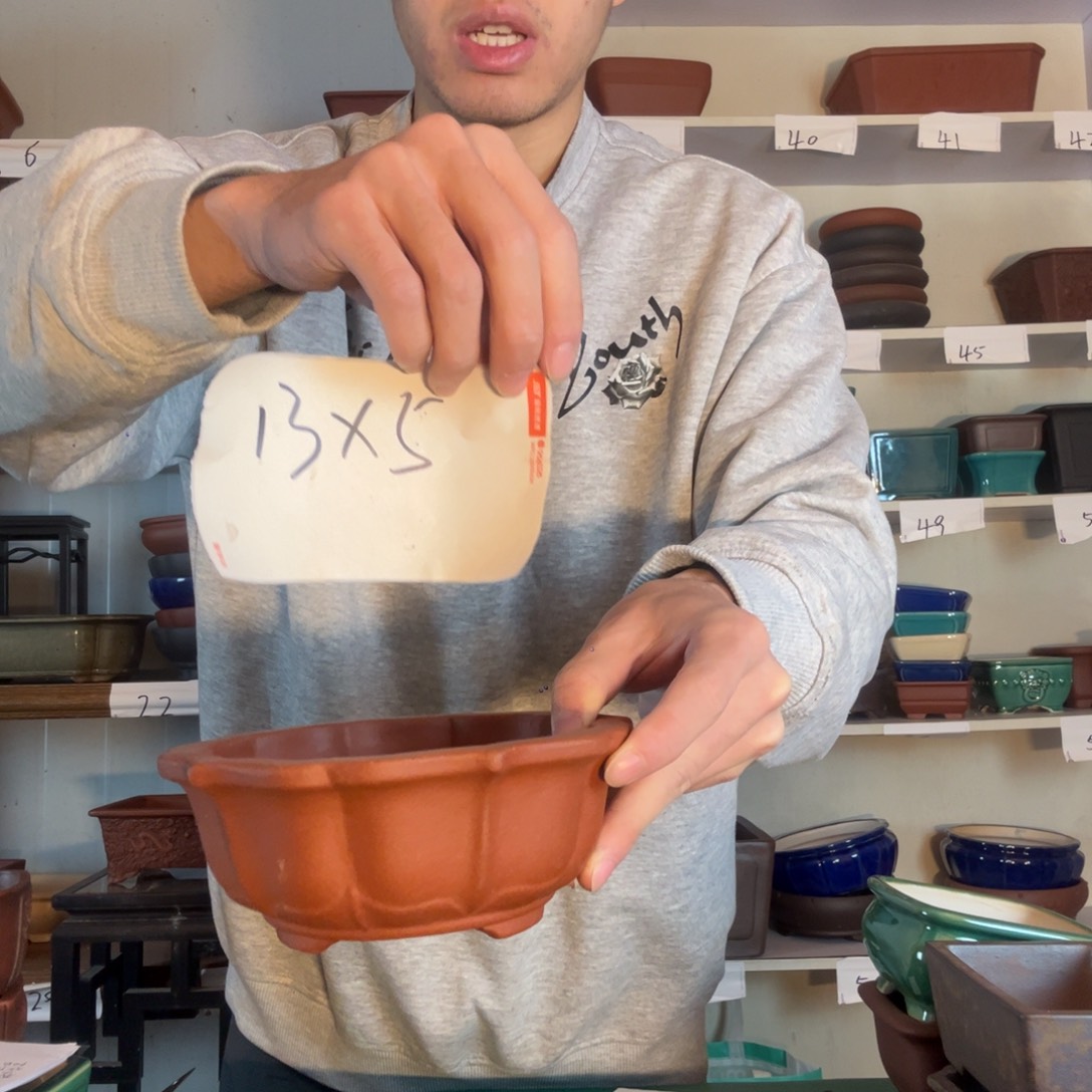 个天天发个图和v方法