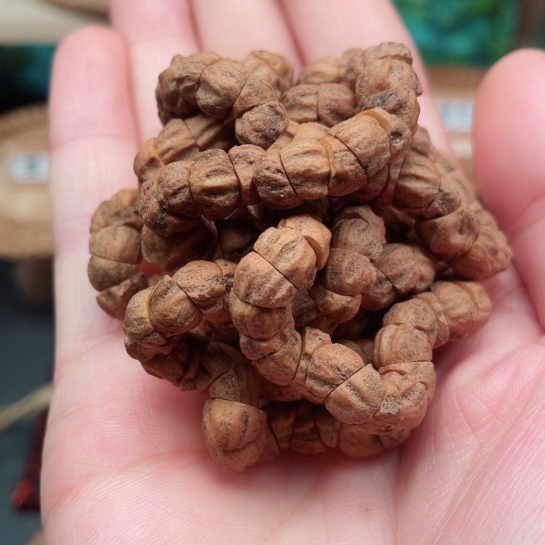 柏香籽/百香籽吊坠铁籽油皮精工大肠