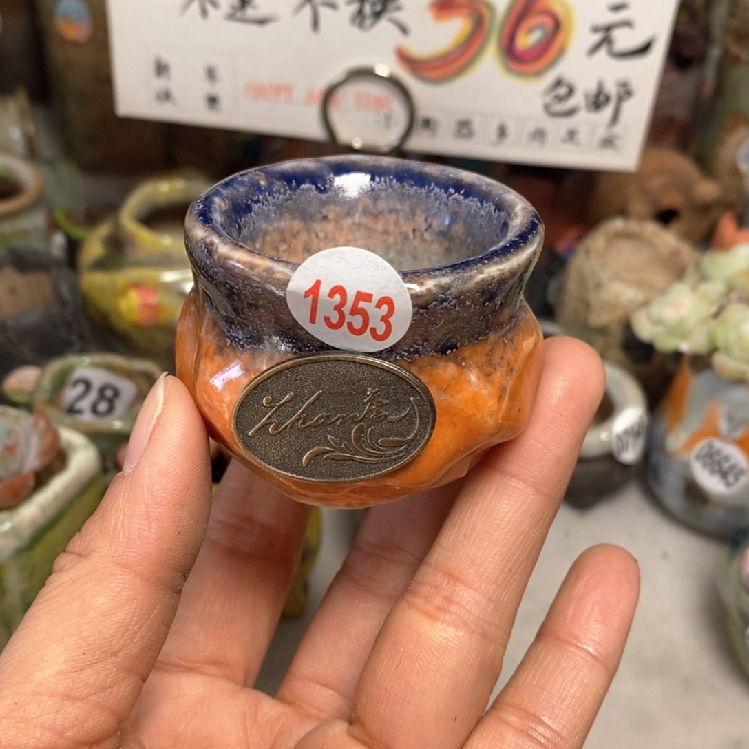 花盆拍5送一个小礼物