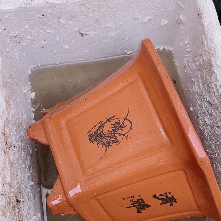 紫砂25红清雅六方佳品佳品倨傲