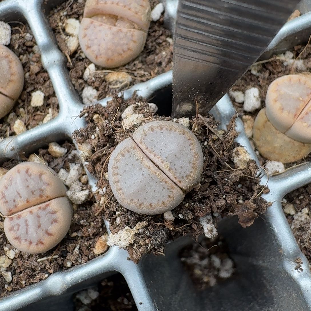 K***y581 哈哈哈哈哈哈哈哈