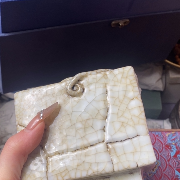 你***的瓷片如图所示所拍即所得