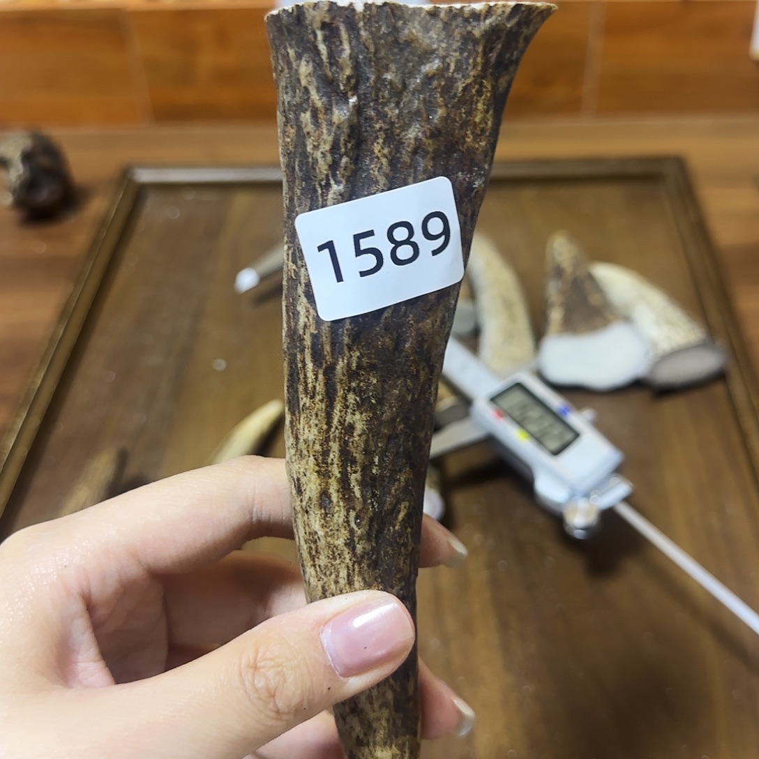 手串/手链鹿骨1589 角尖