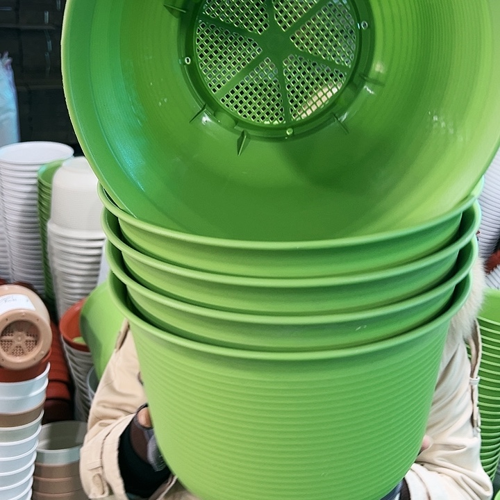 正品矮陶口30高22果绿无托5只