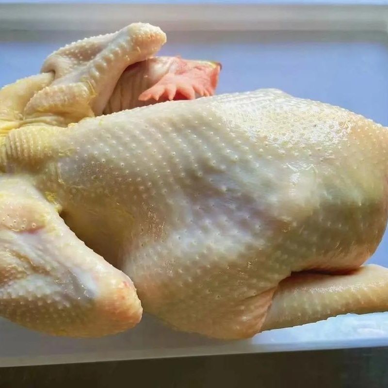 农家散养土鸡真空包装 包冰率10%-15%