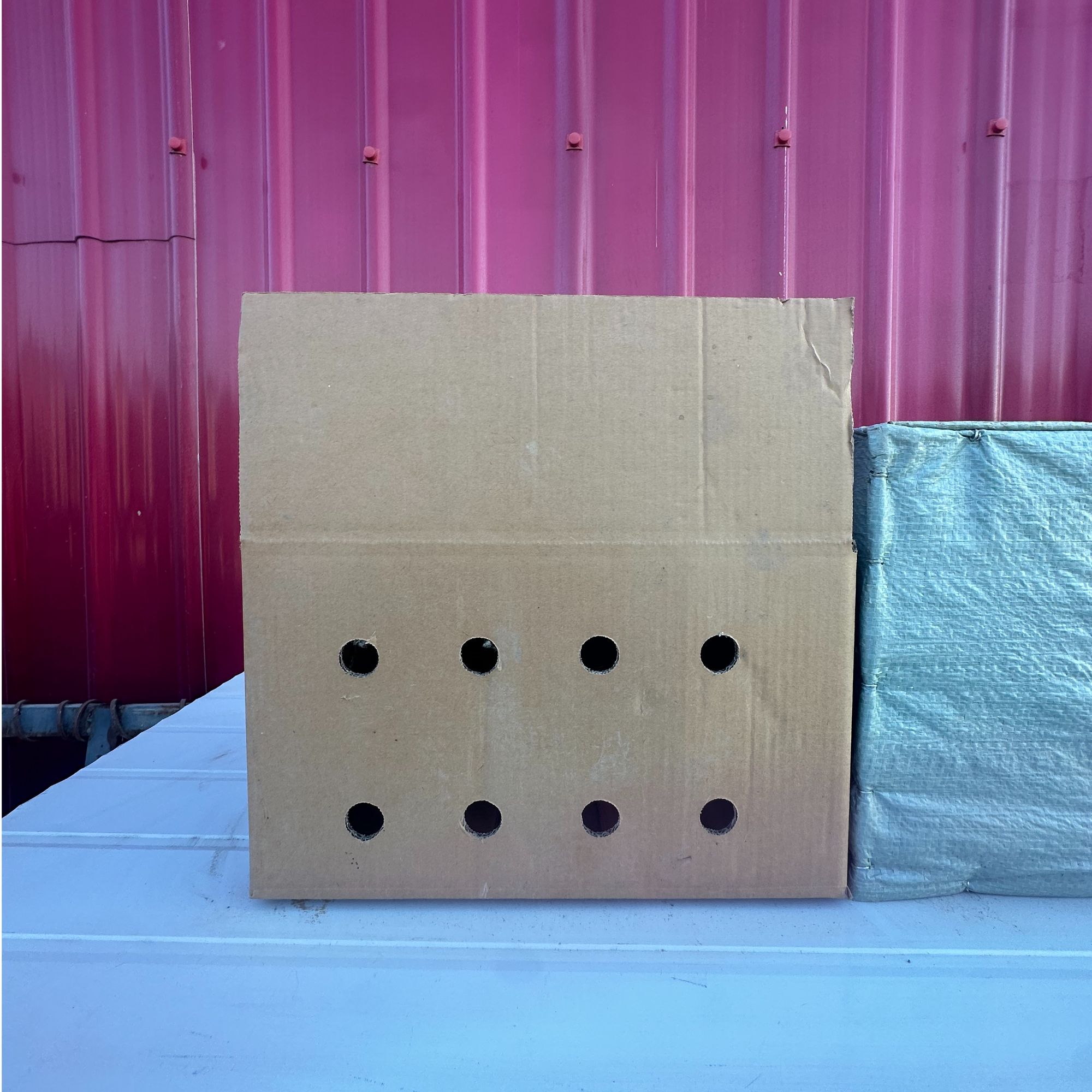 包装箱 鸵鸟打包筐 直播间同款附带赠品方形网格储物箱家用创意