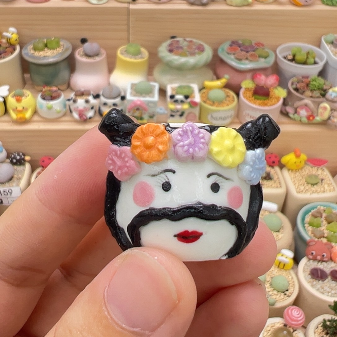 多肉植物16号单独盆