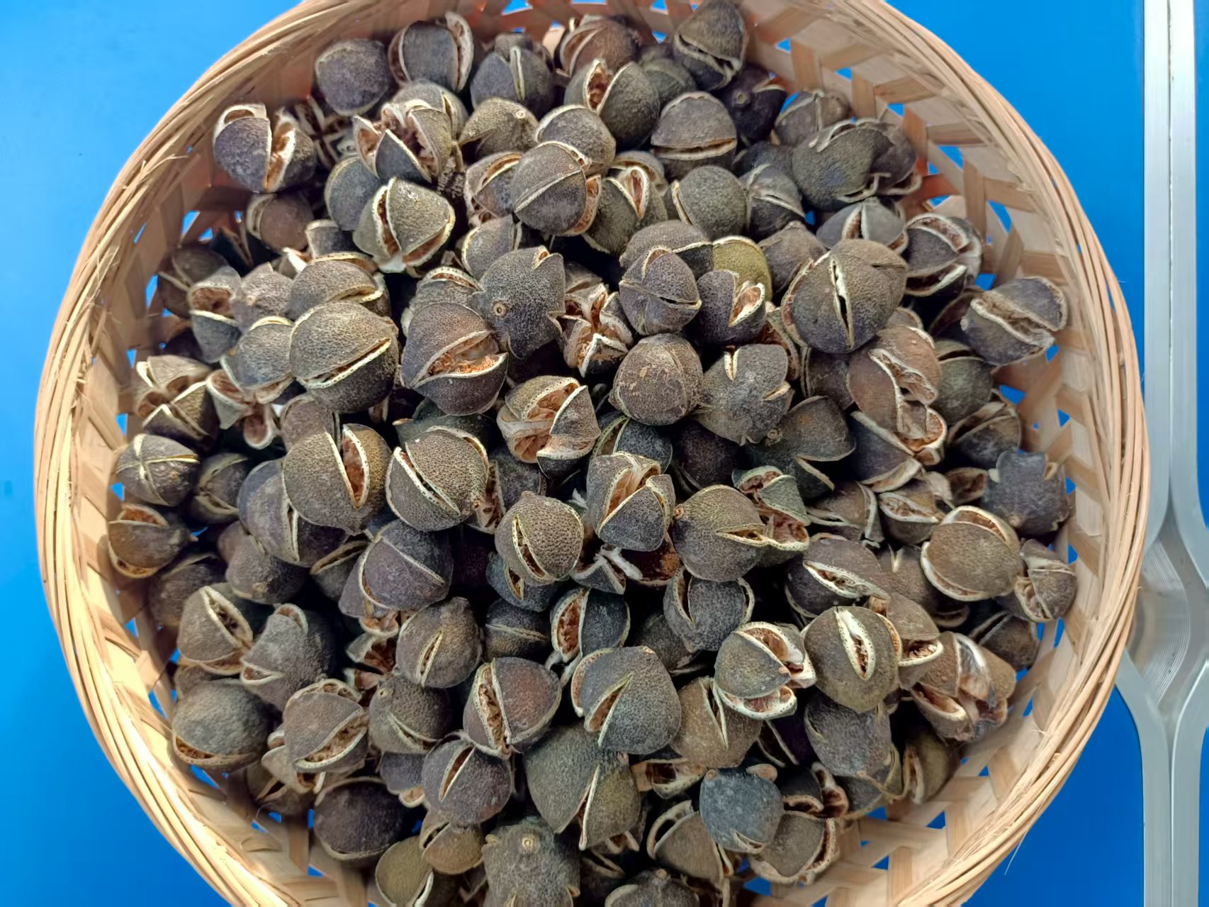 果农2025年四花青柑宝宝新会陈皮（天然生晒）