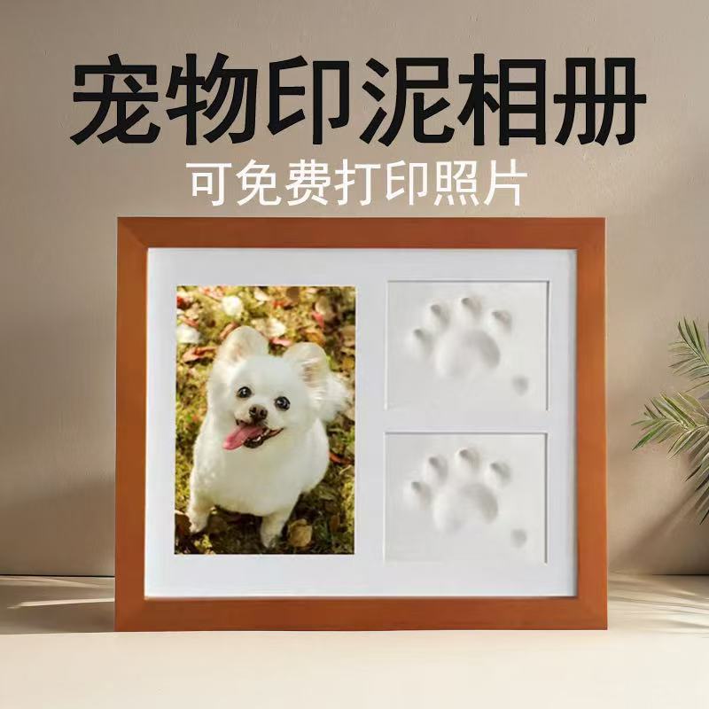 宠物相册 可爱宠物精彩瞬间