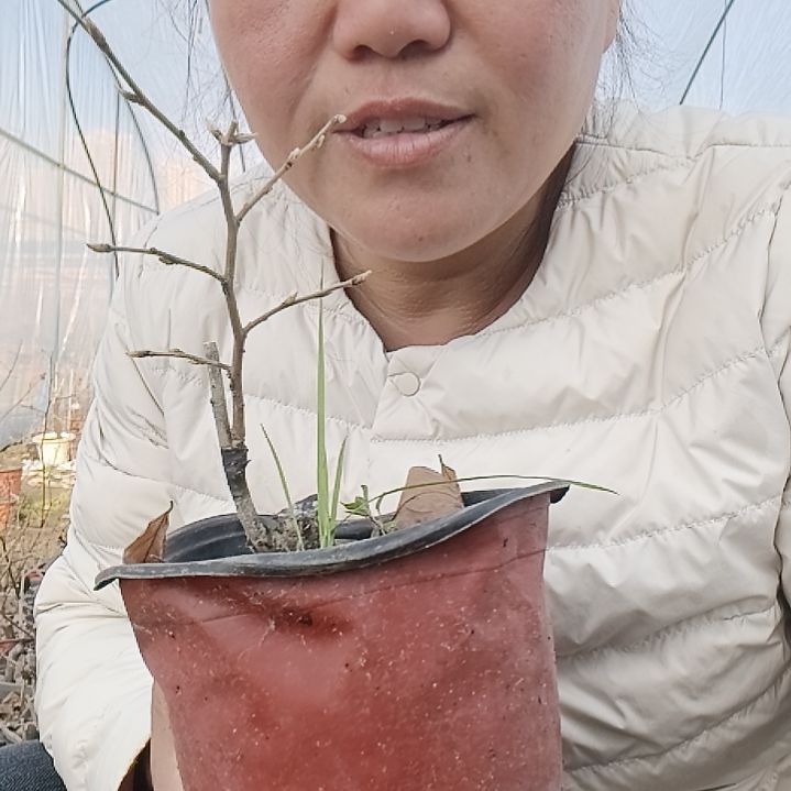钓***位无花朵153554566888