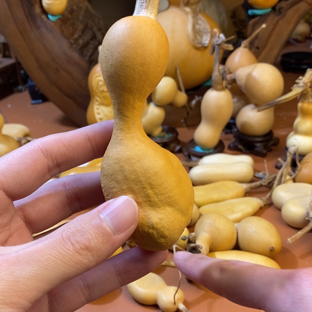 *****教练教练教练教练经理