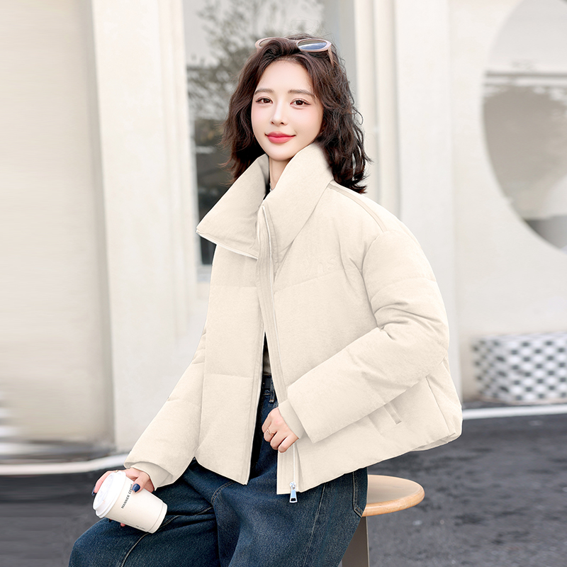 短款女百搭时尚加绒拉链立领长袖棉服