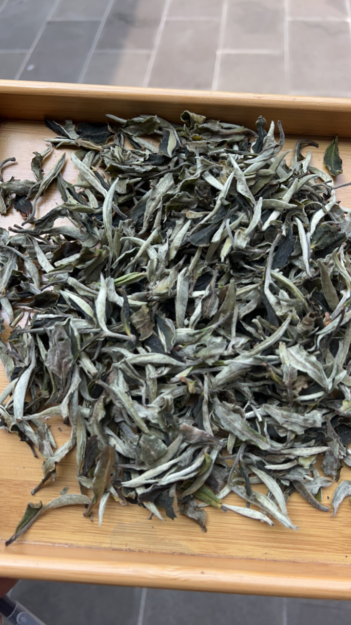 云南高山月光白茶（明前茶）