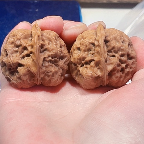 把件文玩核桃雪山蟾王带彩40