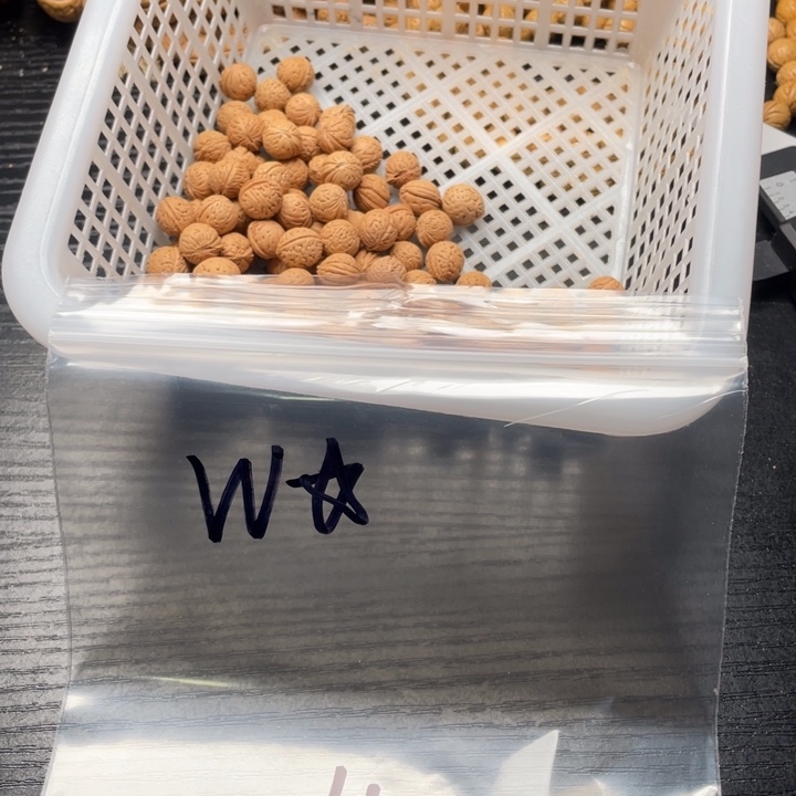W****核桃手串/手链小桃核散籽批发140