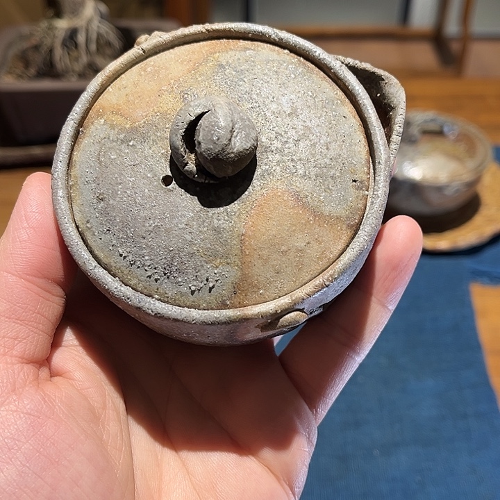 好好卖壶 天天向上