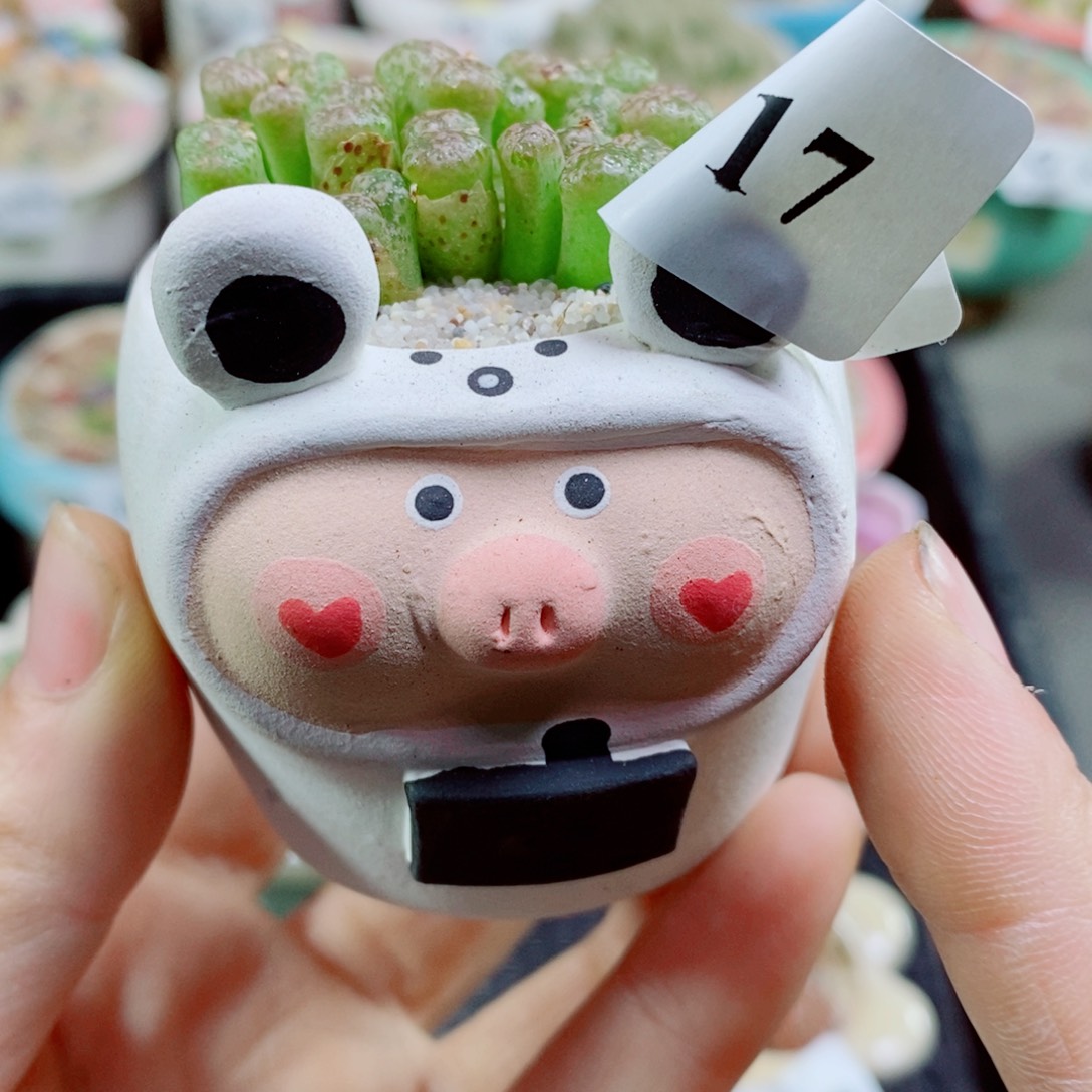 ❥****゛其实哈哈哈哈哈哈哈哈17
