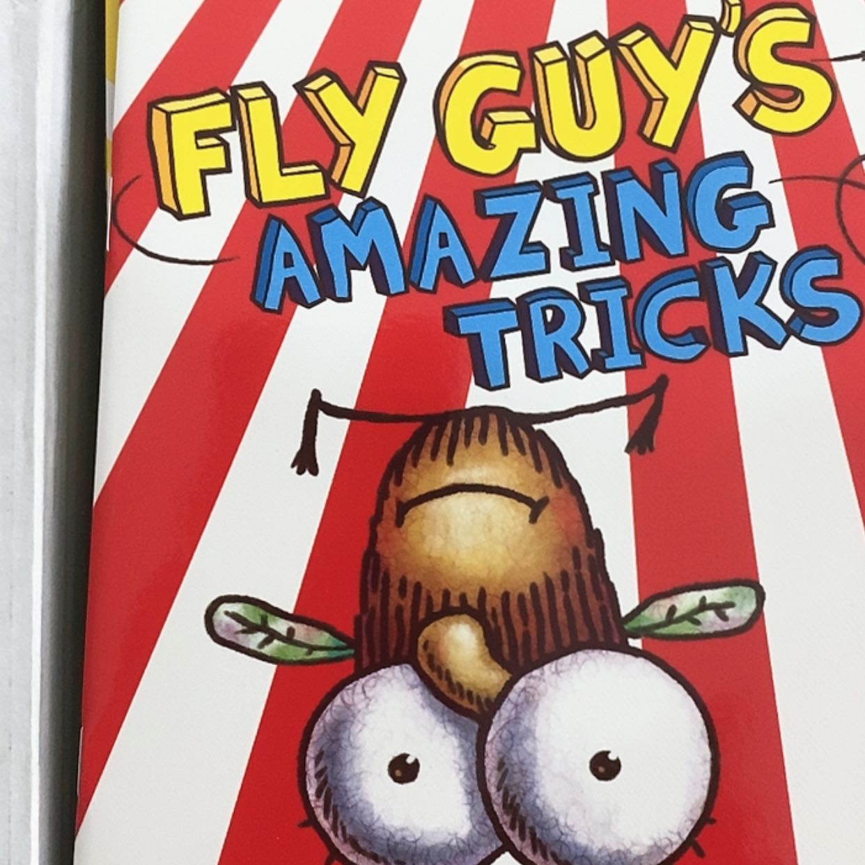 【闪购商品】苍蝇小子样品