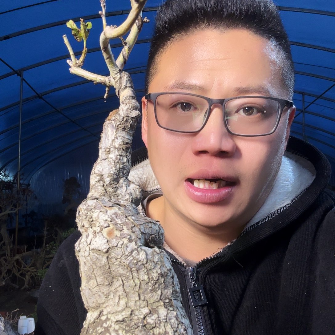 传***哥当前无花朵，栽培后可花朵