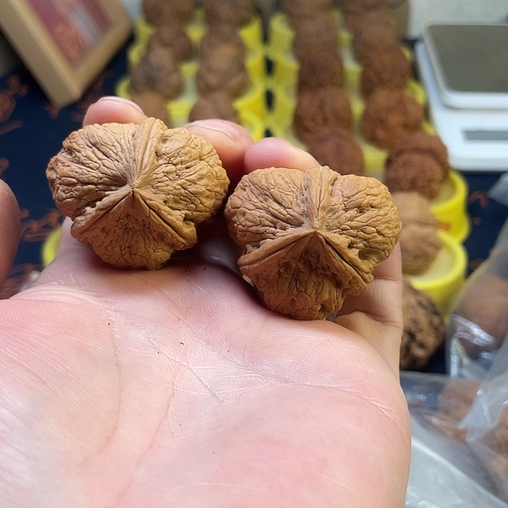 把件文玩核桃30古树纹三棱40