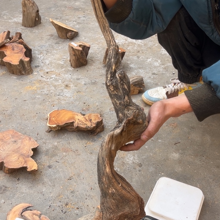 柏木南太行崖柏料