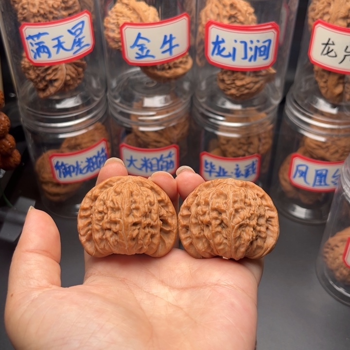 把件文玩核桃43白狮子头