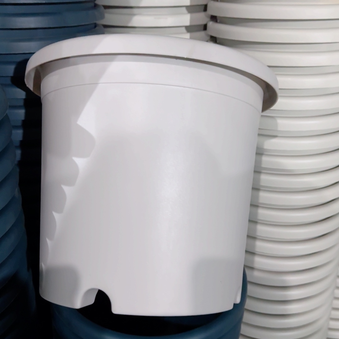 树脂特价4#无拖灰白8个