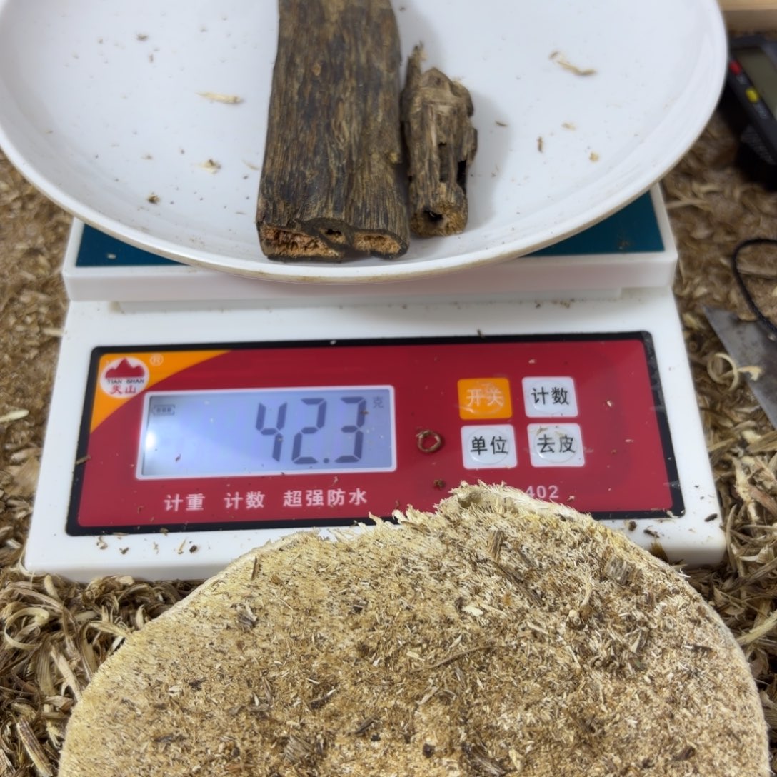 病***轻diy多样性发一香薰料