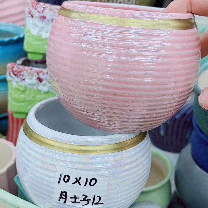 多肉植物陶瓷花盆